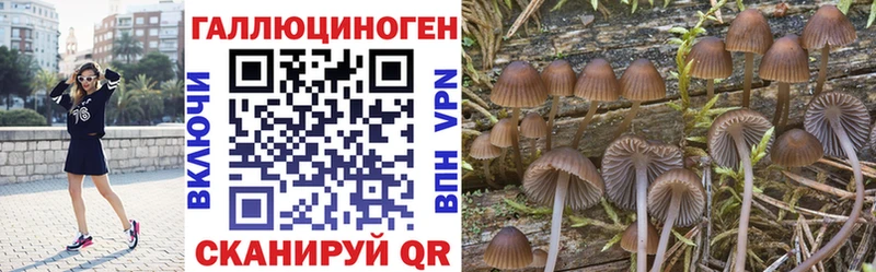 MEGA   Алексеевка  Псилоцибиновые грибы ЛСД 