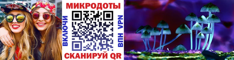 Псилоцибиновые грибы Cubensis Алексеевка